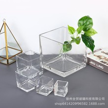 简约透明玻璃花瓶 加厚方形桌面摆件水培玻璃 方缸创意蜡烛玻璃瓶