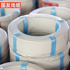 国标电线国友电源线铜芯4平方电线电缆WDZN-BYJ单股家用工装硬线