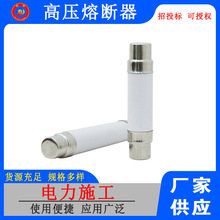 高压限流熔断器XRNT-10 50～80A高分断能力高压熔断器