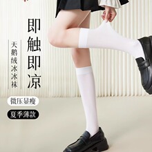 夏季薄款小腿袜天鹅绒中筒袜百搭jk制服黑白过膝压力袜 一件代发