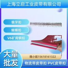 PVC皮带钢扣 物流带不锈钢钢扣 传送带不锈钢狼牙扣