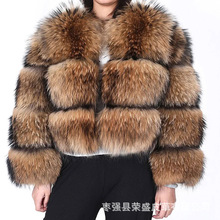 水貂整皮大衣全新进口天鹅绒级别橘粉色翻领中长款