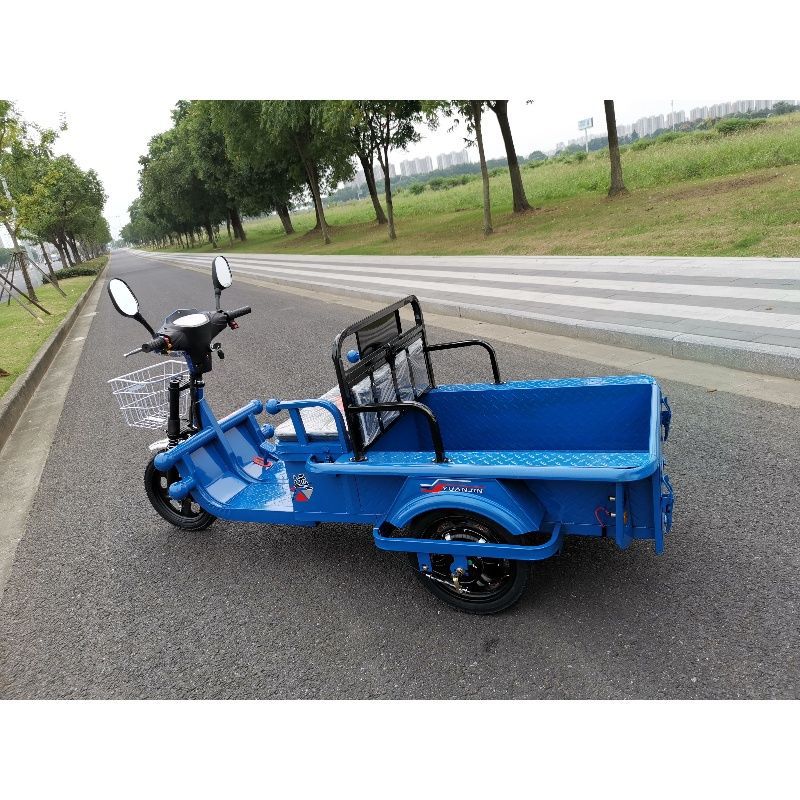 电动三轮车新款成人家用代步小货运快递平板接送孩子电瓶三轮车