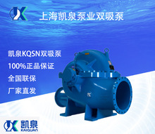 上海凯泉水泵 KQSN150-M4/310中开单级双吸泵