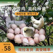 腾冲雪鸡10枚纯种受精种蛋可孵化白羽乌鸡白毛乌骨鸡受精蛋鸡蛋