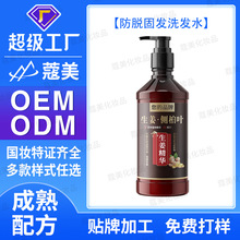 蔻美工厂生姜王洗发露防脱固发洗发水洗头膏oem代加工定制贴牌odm