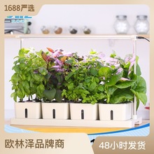 亚马逊新款种菜机Z306 厂家批发室内智能种植机无土栽培 水培蔬菜