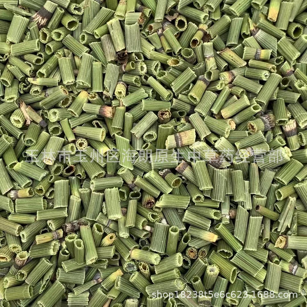【包邮】木贼草千峰草节节草笔筒草 每件500克 二十四小时发货
