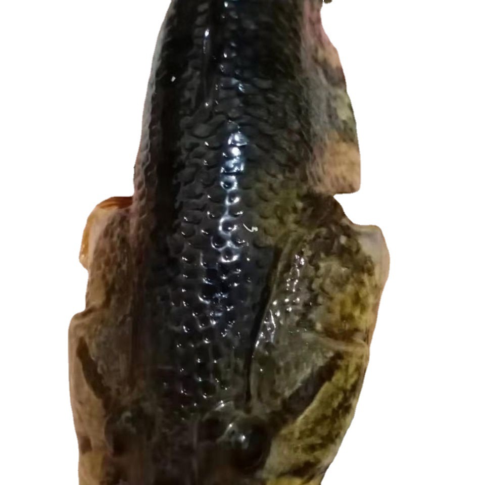 正宗东北大老头鱼山胖头鱼黑龙江鲜活速冻淡水开河鱼