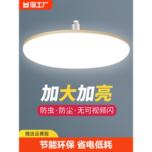 LED灯泡飞碟超亮家用节能防水护眼白光E27螺口新国标猪肉生鲜灯