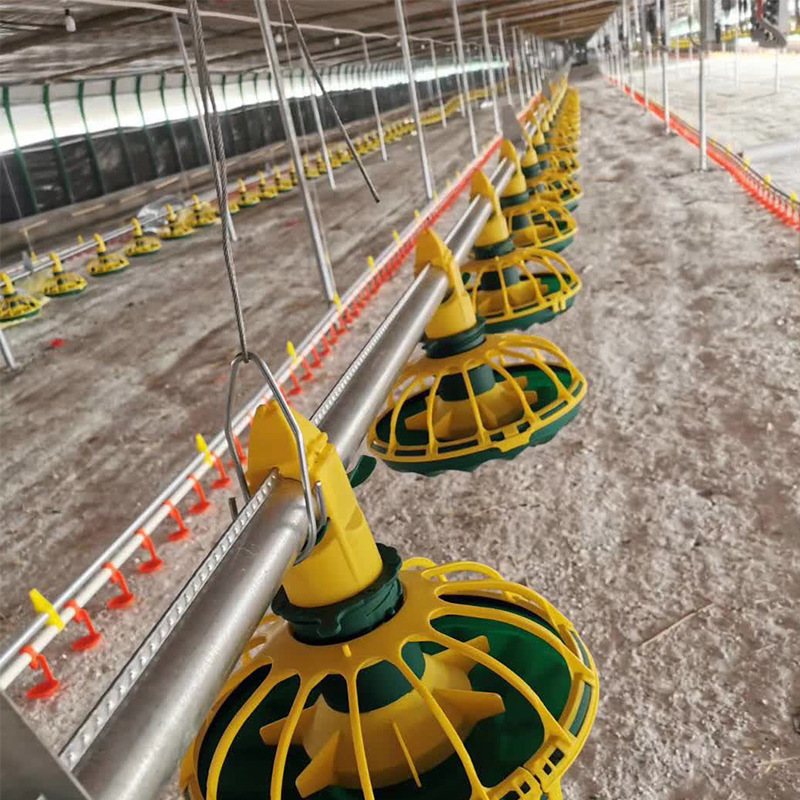 养鸡料线自动化喂食养鸡料线全套平养肉鸡水料线喂食上料机