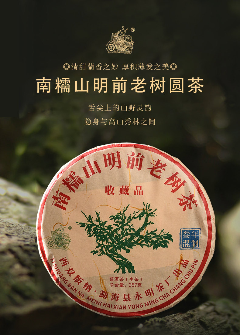普洱茶南糯山头春老树紧压生茶七子饼茶357g/饼 现货批发