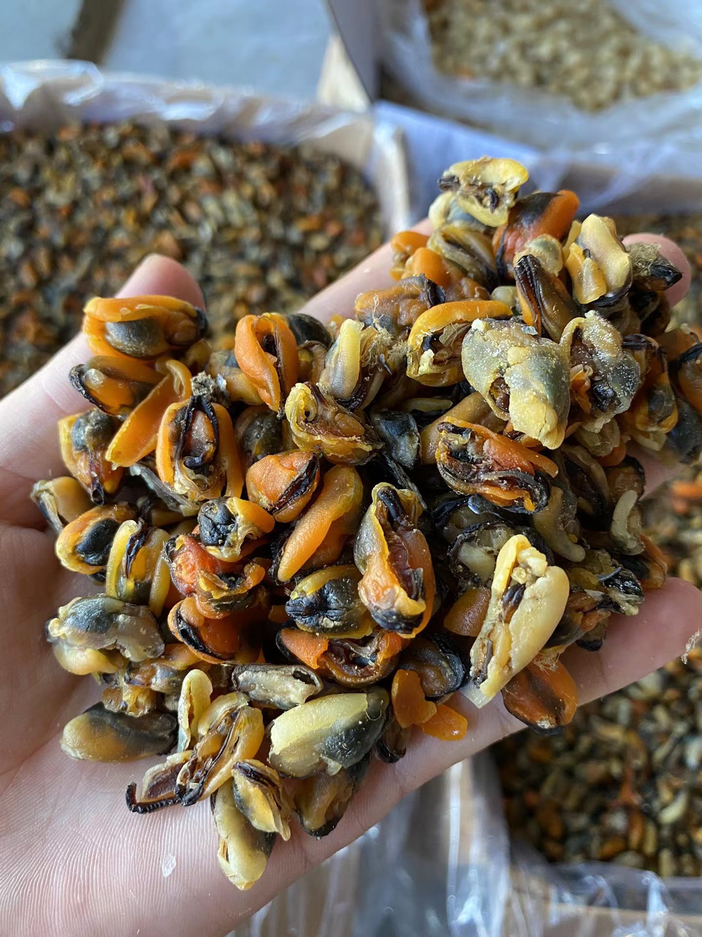 新晒淡菜干货500g海鲜小号淡菜肉散装青口贻贝海虹淡菜干批发整箱