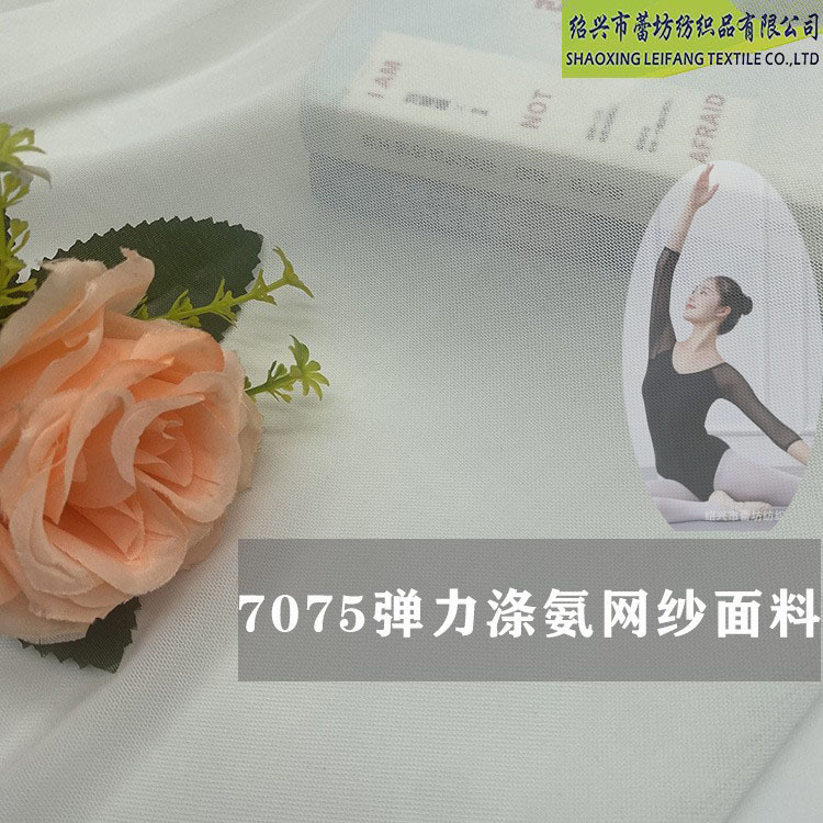 70D涤氨弹力网纱网布网眼布 加密加厚舞蹈服布料面料瑜伽类布料