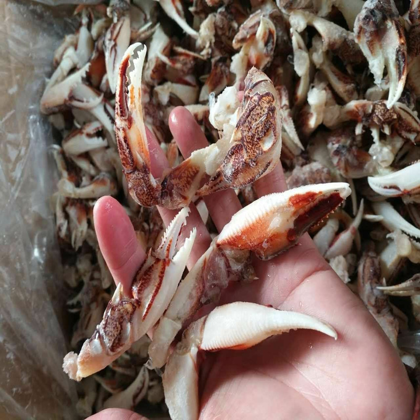 批发供应冷冻花蟹钳 醉蟹钳麻辣蟹脚捞汁海鲜麻辣食材原料供应