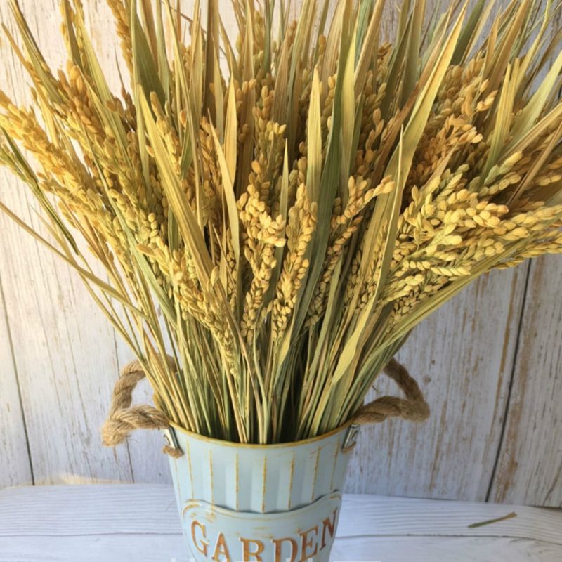 稻穗麦穗干花花束田园农家乐装饰 真稻子稻谷会展拍摄影道具批发