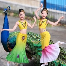 新款儿童傣族舞蹈服鱼尾裙弹力孔雀舞演出服装女童少儿民族表演服