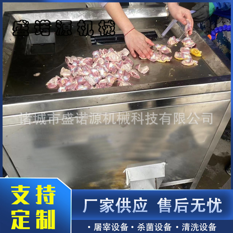 厂家供应鸡鸭剥胗机 家禽剥胗机去黄皮设备 白条鸡全套加工生产线