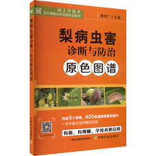 梨病虫害诊断与防治原色图谱 种植业 中国农业出版社