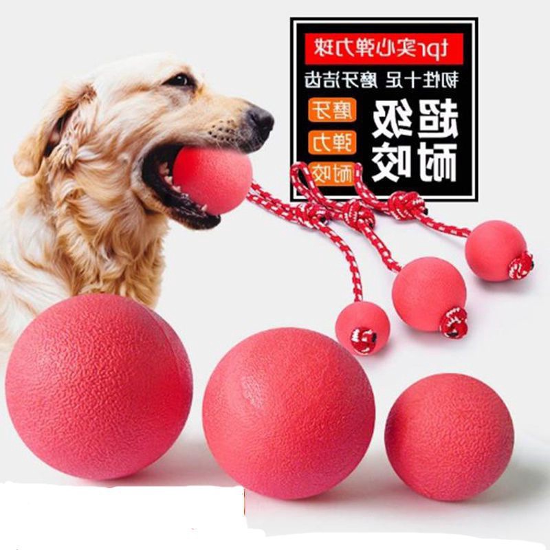 狗狗训练玩具耐咬弹力球宠物玩具用品宠物用品磨牙小狗-阿里巴巴