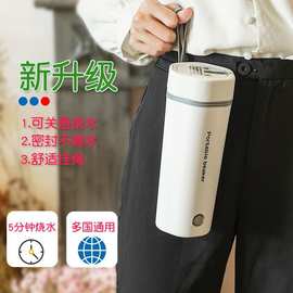 厂家定制迷你英文电热水杯便携跨境欧规车载12V/24V电热水壶礼品