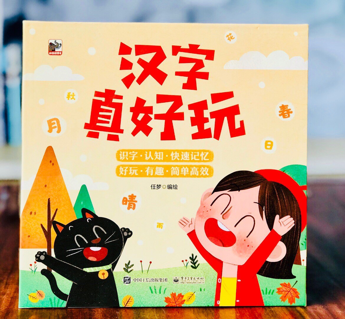 正版汉字真好玩包含90张图卡颜色卡90张字卡两字词卡成语词卡