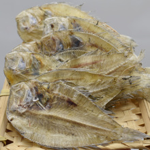 青岛海鲜顺丰包邮网店实体店新鲜鲽鱼鲜活花斑鲽鱼野生