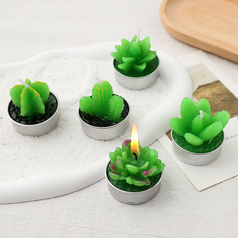 Mini Plant Potted Succulent Candle Tealight Simulation Plant Shape Candle Home Ornaments Factory Direct Sales Wholesale