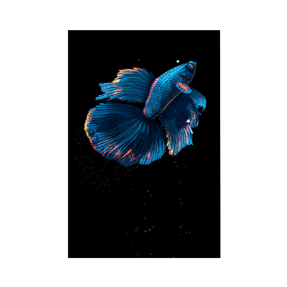 全球一件代发客厅金鱼装饰画单联无框帆布画芯餐厅斗鱼海报亚马逊