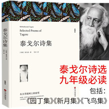 泰戈尔诗集正版全译本含有吉檀迦利采果集园丁集新月集飞鸟集流萤