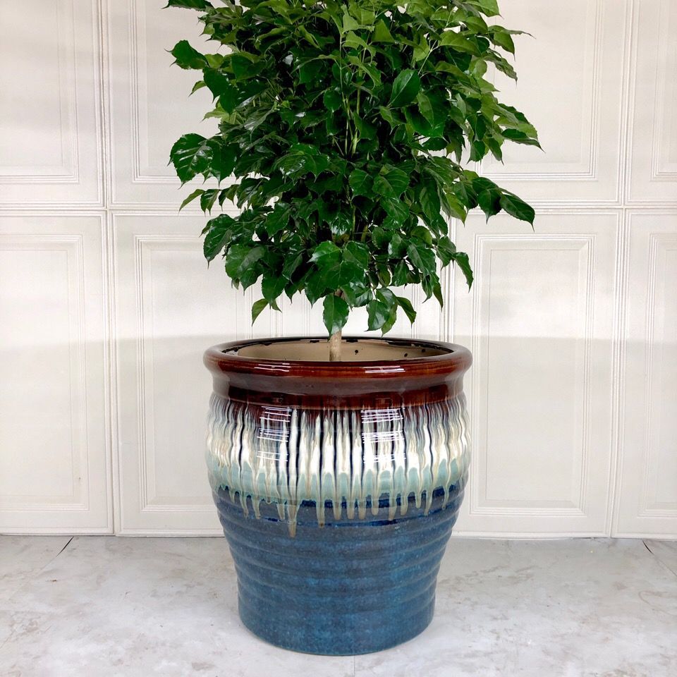 落地大口径花盆陶瓷大号特大号庭院客厅阳台发财树种树大花缸