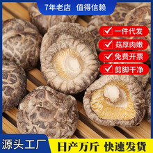 【产地直销】古田农家特产小花菇香菇食用菌干货散装批发无根肉厚