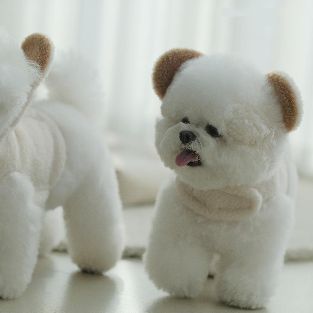 现货ins韩国小熊立耳帽胸背宠物狗狗比熊马尔济斯小型犬牵引绳