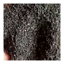 苦草种籽纯籽小龙虾蟹养殖鱼塘四季矮生短叶水草苗扁担草种子