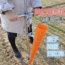 栽苗器移栽器辣椒播种器定植器种苗器辣椒移栽器大桥农具