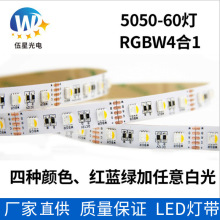 深圳工厂直供50RGBW四合一60灯多彩LED软灯带低压12V可调光灯条