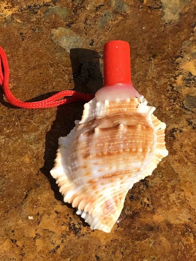 天然海螺号角可吹喇叭口哨超大贝壳哨子儿童玩具哨小螺号能吹响的