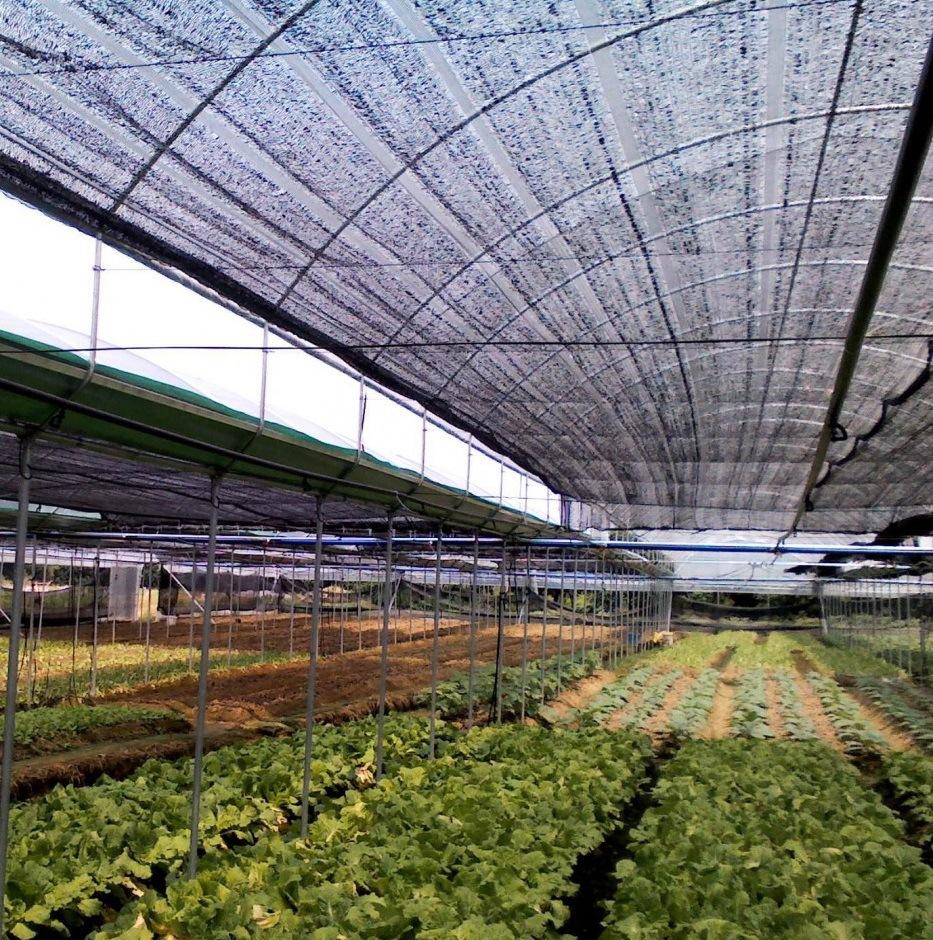 植物遮阳网-新款价格,厂家,货源-阿里巴巴