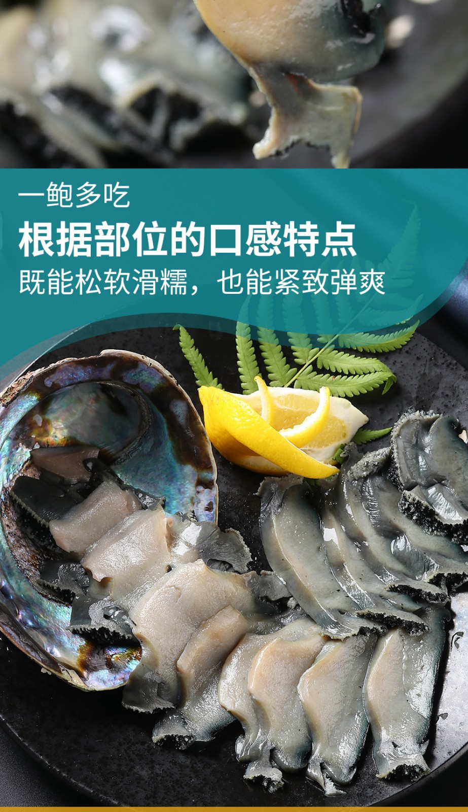 冷冻活冻澳洲鲍鱼鲜活澳鲍澳大利亚特大黑边鲍鱼新西兰黑金鲍鱼