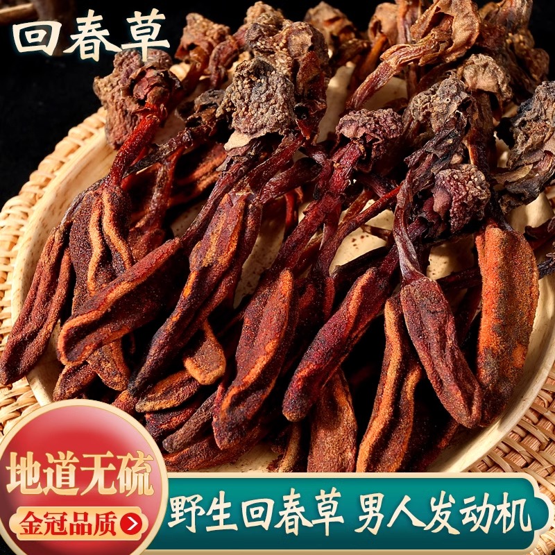 回春草野生500克云南新货顶天柱草苁蓉男性滋补泡酒茶材量大优惠