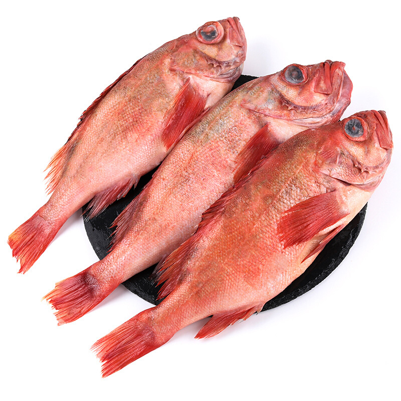 庆典红鱼冷冻水产红石斑鱼700-1000g大眼鱼尖吻平鲉婚宴烧烤食材