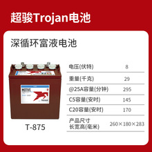 美国超骏（邱健）Trojan T-875  8V 170AH  高尔夫球车铅酸蓄电池