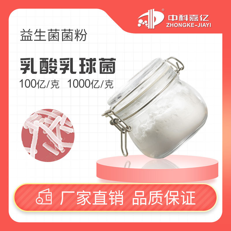 乳酸乳球菌 益生菌冻干粉100亿1000亿 两次多层包埋 冻干乳酸菌粉