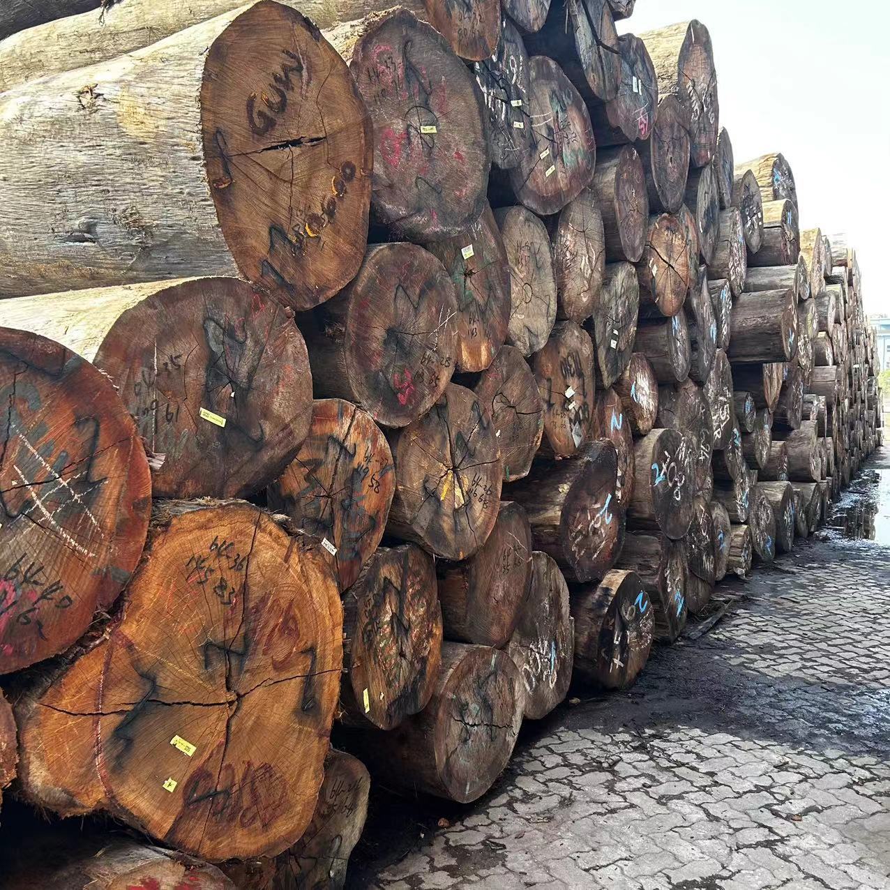 水胶木 所罗门水胶木 巴新山樟木 巴新水胶木-阿里巴巴