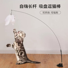 逗猫棒批发吸盘猫玩具爆款猫咪自嗨耐咬长钢丝羽毛小鸟逗猫棒替换