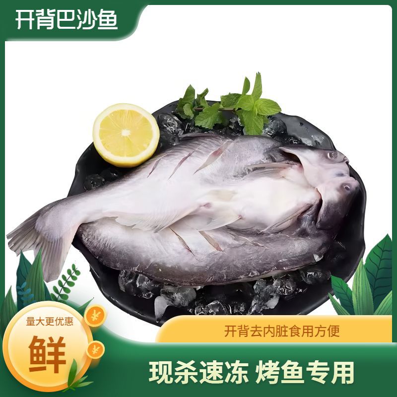 开背湄公鱼巴沙鱼整条龙利鱼新鲜冷冻烤鱼店批发整箱商用一件代发
