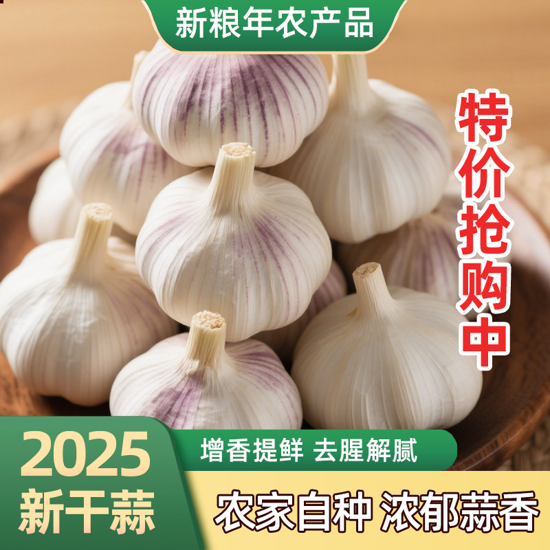 精选大蒜头干蒜5斤农家自然晾晒当季蔬菜干蒜白皮大蒜农产品批发