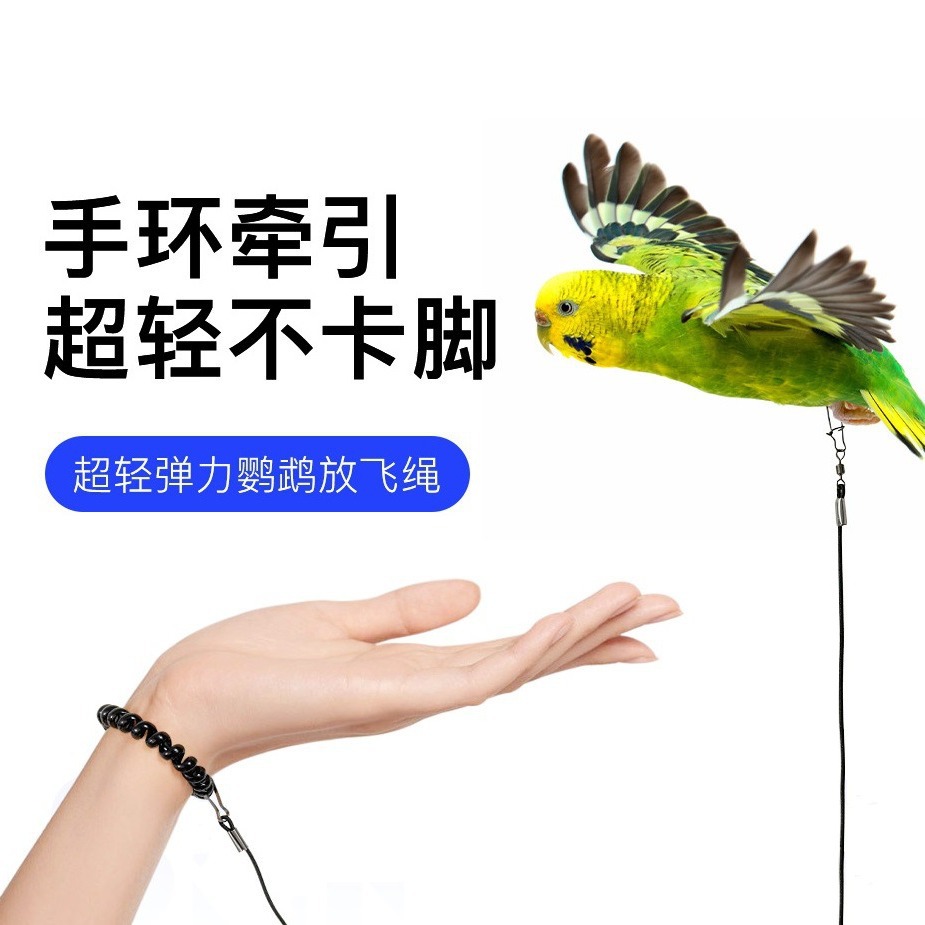 超轻鸟用放飞绳鹦鹉牵引绳玄凤虎皮牡丹飞行外出遛鸟神器宠物