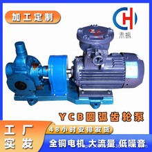 定制圆弧齿轮泵 油漆沥青泵YCB低噪音泵润滑油圆弧齿轮泵