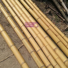 防腐大竹子1-4米长防蛀装修竹广州三秋竹制品厂碳化大竹竿